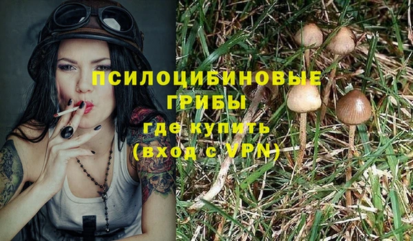spice Майский